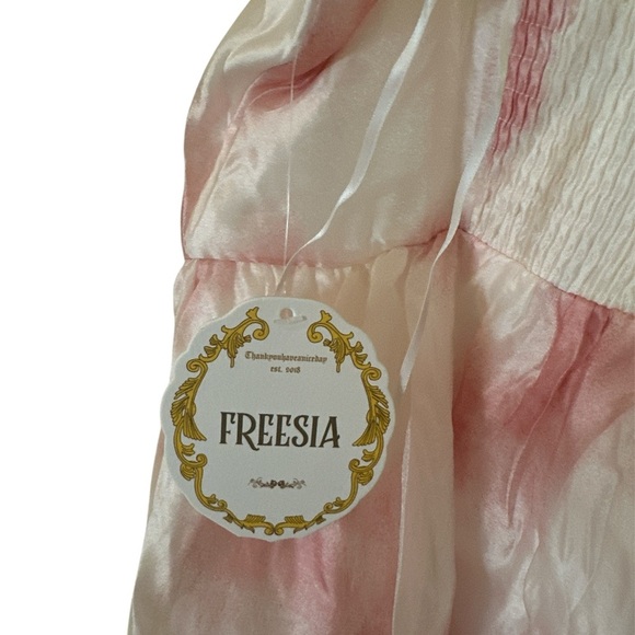 Freesia Chiffon Bustier Mini Dress Size XL Pink Ivory Spaghetti Straps NEW - Picture 8 of 15